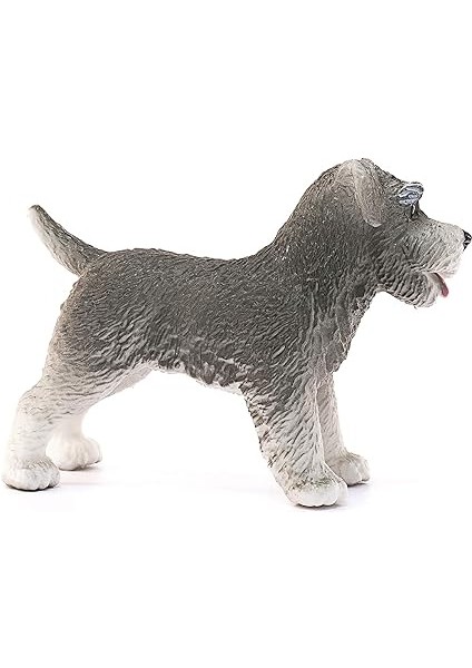 World-Minyatür Schnauzer fırsatları