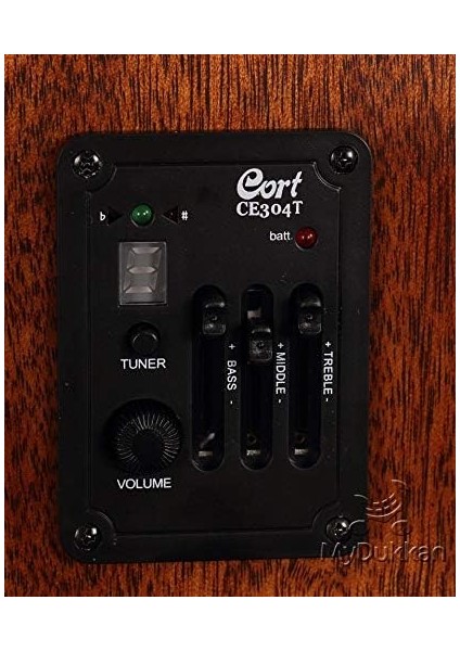 AD880CENSW Elektro Akustik Gitar Cort Kılıflı modelleri