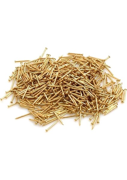 Yuvarlak Başlı Çivi Çivi 1,0 x 10 mm Demir Pirinç Kaplama 50 G (Yakl. 650 Adet)