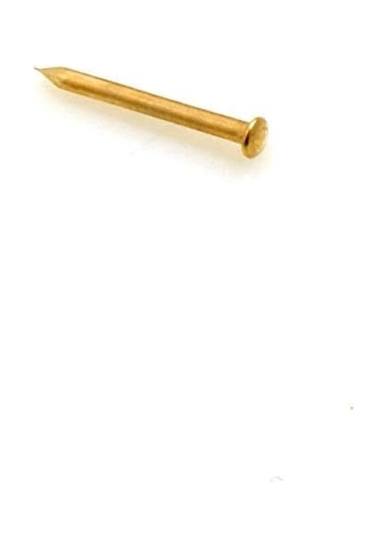 Yuvarlak Başlı Çivi Çivi 1,0 x 10 mm Demir Pirinç Kaplama 50 G (Yakl. 650 Adet) fiyatları