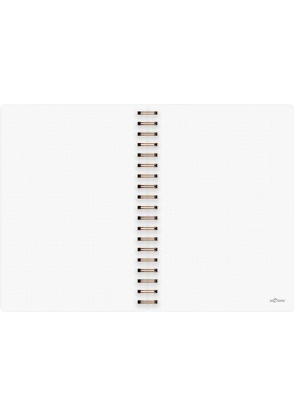 Color Noktalı Bullet Journal Pro Defter Shine Kum 17X24 modelleri