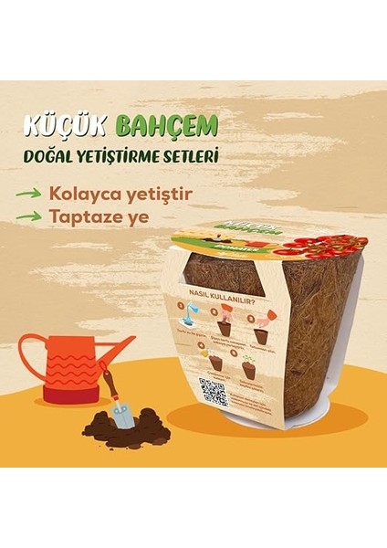 Bahçem Çeri Domates Tohumu Yetiştirme Seti fiyatları