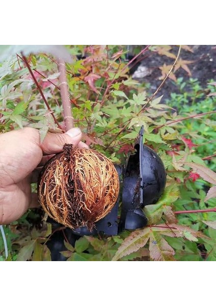 Adet Bitki Köklendirme Topu, 20 Adet Klips, Köklendirme Hormonu indirimleri