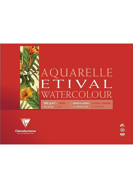 96389 °c Blok Etival Granülasyon Classic Yapıştırılır Bir Tarafı 10 Yaprak 300 G 14.8 x 21 cm