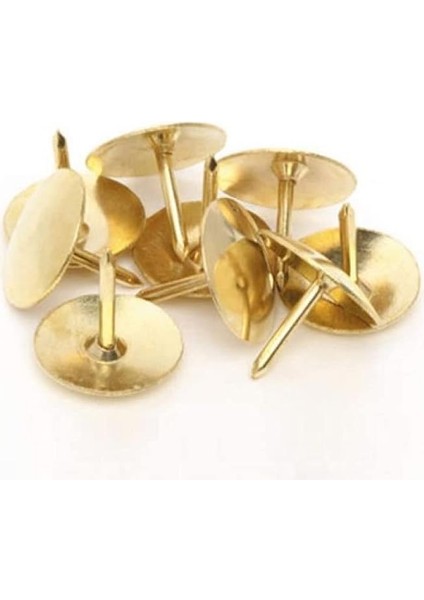 10 Kutu Raptiye Toplamda 400 Adet Raptiye