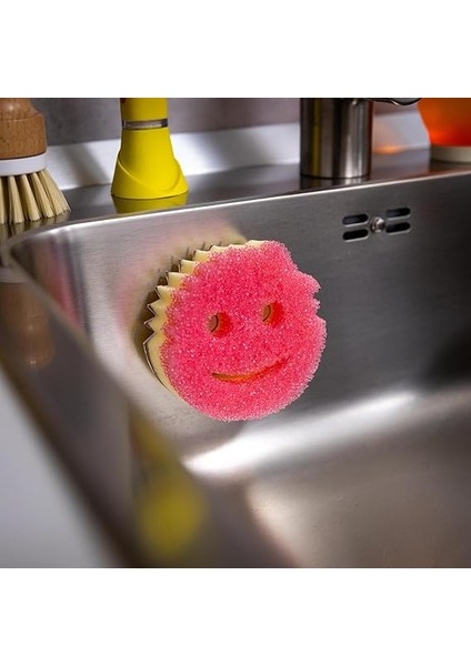 Caddy Sünger Saklama Standı indirimleri