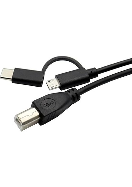 3351 Type C +Micro USB Yazıcı Printer Piyano Midi Bağlantı Kablosu Hızlı USB C USB B Midi Cihazını Müzik Kaydı/oynatma Veri Iletimi Için Bilgisayara Bağlamayı SAĞLAR(LN-3351 Type C+Micro Usb) fırsatları
