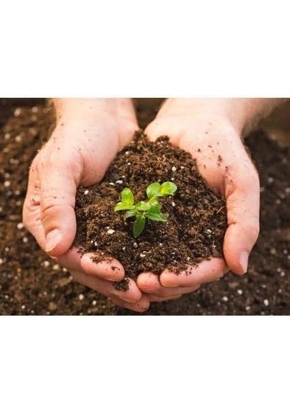 Fresh Torf 80 Lt Çiçek Toprağı Saksı Toprağı Doğal Tohum Ekim Torfu modelleri