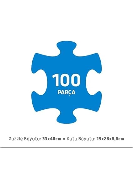 Focus 100 Parça - Planets (Gezegenler) modelleri