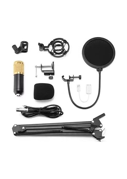 Profesyonel Kondenser Mikrofon Podcast Canlı Yayın Ekipmanı USB Mıc Mikrofon Seti Kol Standlı Stüdyo Mikrofonu Stüdyo Canlı Kayıt ve Yayın Için Müzik Kayıt Ekipmanı indirimleri