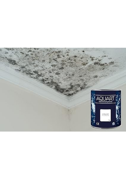 Humiguard Nem Rutubet Boyası 1kg modelleri