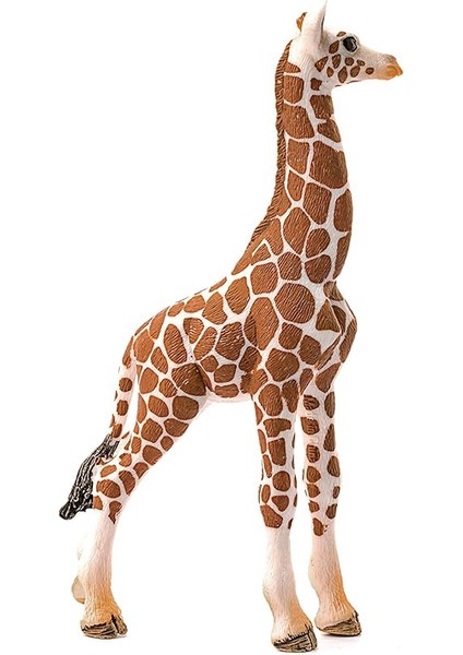 Life-Yavru Zürafa modelleri
