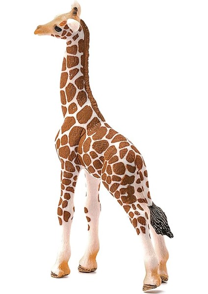 Life-Yavru Zürafa fırsatları