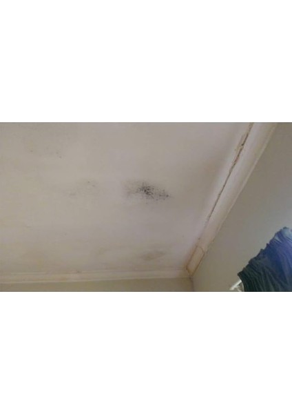 Flora Nem Alıcı 200 G 12 Adet fırsatları