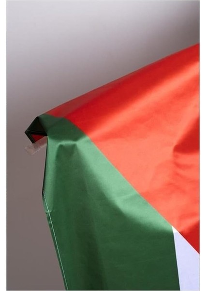 Bayrak Filistin Milli Gönder Bayrağı Raşel Kumaş Dijital Baskı 100X150-ÖZEL Sert Plastik Kutu ile Gelir- modelleri