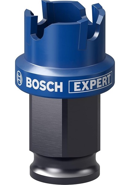 Professional 1x Expert Sheet Metal Delik Açma Testeresi (Paslanmaz Çelik Saclar, Ø 22 Mm, Aksesuar Darbeli Matkap/vidalama)