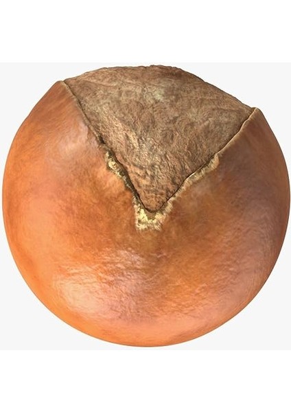 Shea Yağı (100ML) indirimleri