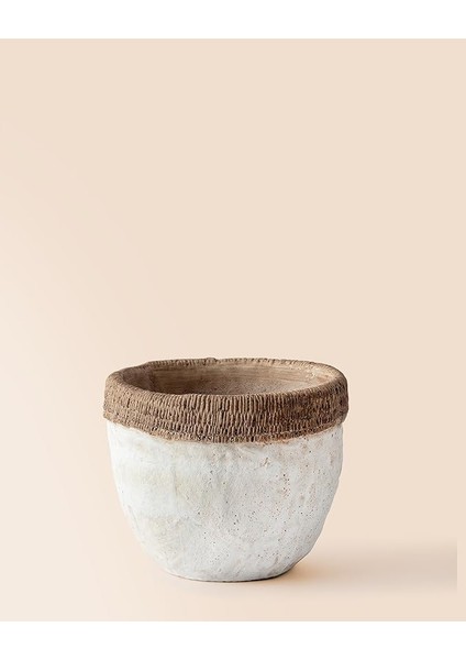 Coco Valerie Saksı - M