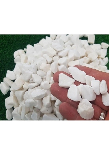 Dolomit Taş 15 kg 1-2 cm Beyaz Dolomit Taş Saksı Dibi Dekoratif Taş Teraryum Taşı Bahçe Taşı fırsatları