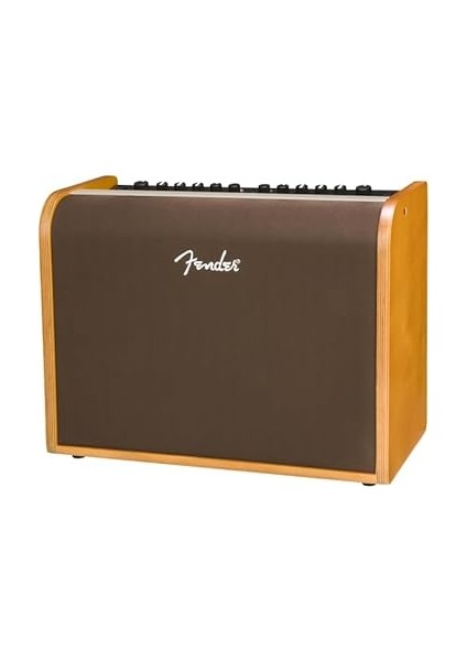 Acoustic 100 Akustik Gitar Amfisi fırsatları