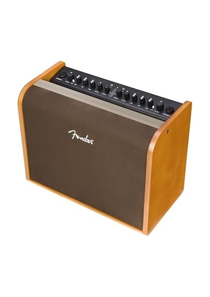 Acoustic 100 Akustik Gitar Amfisi indirimleri