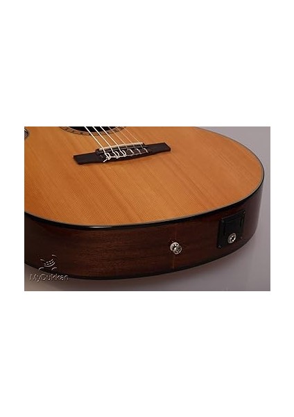 Cec5 Nat Elektro Klasik Gitar modelleri