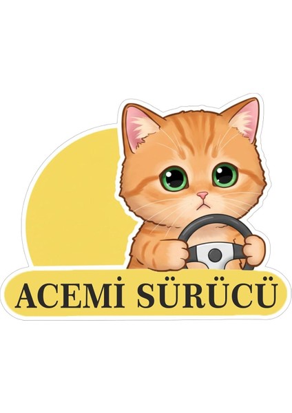 Tasarla Acemi Sürücü Sevimli Kedi Araba Etiketi &amp; Sticker Çok Renkli