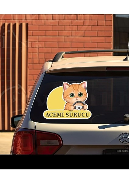 Tasarla Acemi Sürücü Sevimli Kedi Araba Etiketi &amp; Sticker Çok Renkli fiyatları