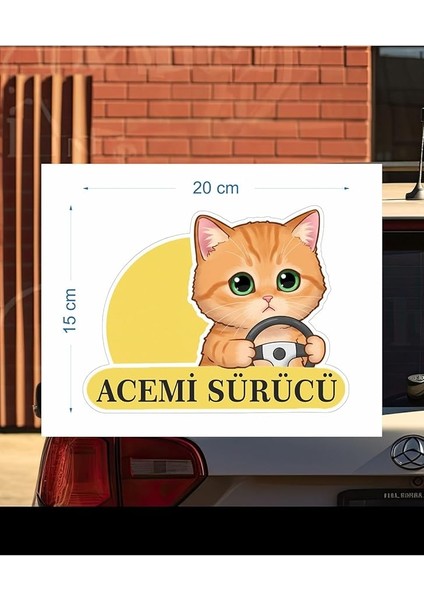 Tasarla Acemi Sürücü Sevimli Kedi Araba Etiketi &amp; Sticker Çok Renkli modelleri