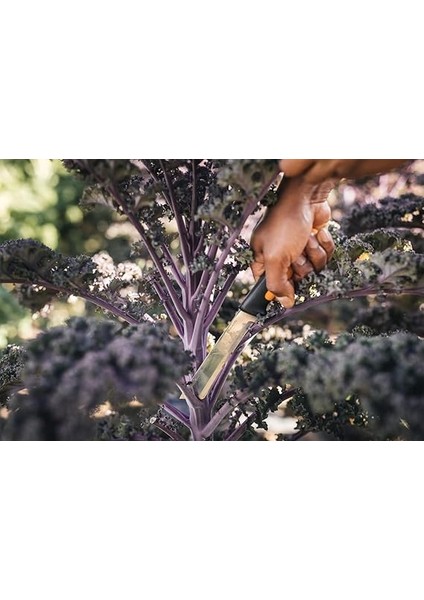 Hasat Bıçağı, Kalın Saplar ve Saplar Için, Bıçak Uzunluğu: 15 Cm, Paslanmaz Çelik/plastik, Siyah/turuncu, x Serisi, K82, 1062830 modelleri