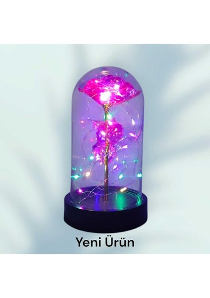 Cam Fanus Içerisinde Işıklı Solmayan Sonsuzluk Gülü 5 Renk Seçeneği Pembe