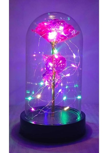 Cam Fanus Içerisinde Işıklı Solmayan Sonsuzluk Gülü 5 Renk Seçeneği Pembe fiyatları