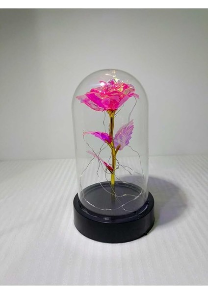 Cam Fanus Içerisinde Işıklı Solmayan Sonsuzluk Gülü 5 Renk Seçeneği Pembe modelleri