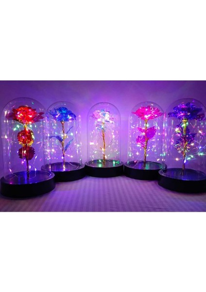 Cam Fanus Içerisinde Işıklı Solmayan Sonsuzluk Gülü 5 Renk Seçeneği Pembe fırsatları