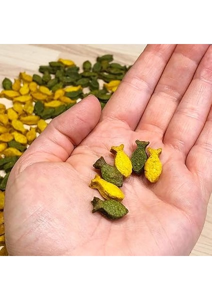 Mini Balık (2 Cm) Silikon Pişirme Kalıbı, Köpek Bisküvileri ve Köpek Atıştırmalıkları Için, Çikolata Kalıbı, Yapışmaz ve Gıda Maddelerine Uygun (Bpa Içermez) indirimleri