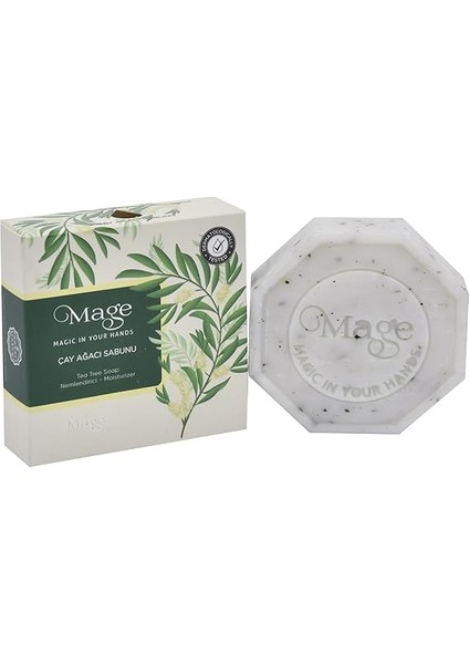 Ağacı Sabunu fiyatları
