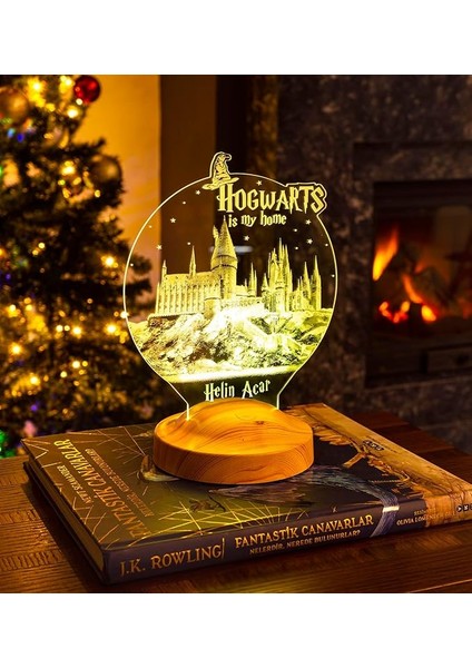 Potter Hogwarts Gece Lambası, Harry Potter Hayranlarına Hediye LED Lamba modelleri