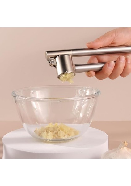 Home Sarımsak Ezici, Paslanmaz Çelik, Gümüş, 18 x 5 x 3 cm