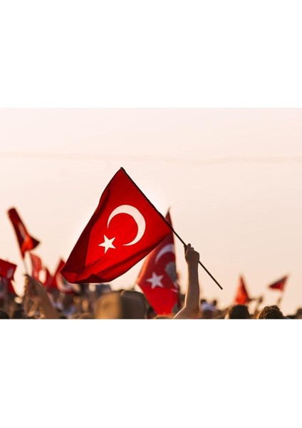 Bayrak Sopalı Türk Bayrağı 100X150 Yüksek Kalite Çift Tarafllı Fabrikasyon Baskı Alpaka Kumaş fiyatları