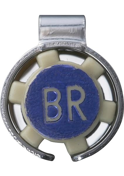 Pıgma Brush 36 Blue fiyatları