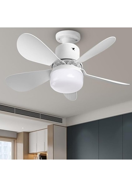 Tavan Vantilatörü Aydınlatmalı, E26/E27 Kısılabilir LED Fan Lambası Uzaktan Kumandalı, 3 Rüzgar Hızı, 30W Küçük Sessiz Tavan Vantilatör Zamanlayıcı fiyatları