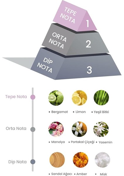 Bambu Çubuklu Oda Kokusu Magnolya ve Yasemin 100 ml modelleri