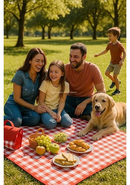 Piknik Örtüsü 205×160 CM, Su Geçirmez Kareli Tasarım, Kolay Temizlenebilir, Katlanabilir Portatif, Geniş Piknik ve Kamp Matı, Hafif Taşınabilir Stil fırsatları