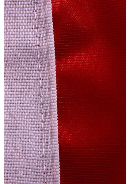 Bayrak Atatürk Baskılı Türk Bayrağı 150X225 cm Raşel Kumaş Dijital Baskı fiyatları