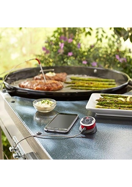 Igrill Mini Universal Mangal Et Termometresi fiyatları