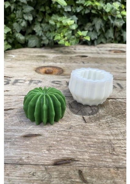 Concept Ball Kaktüs Mum Kalıbı (Silikon)