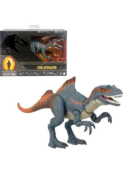 Jurassic World Hammond Koleksiyonu Dinozorlar, Premium Görünüm ve Kaplamalar, Orta Boy Figürler Yaklaşık 30,48 cm Uzunluğunda Yaklaşık 20 Eklemli ve Otantik Detaylı, Içbükey