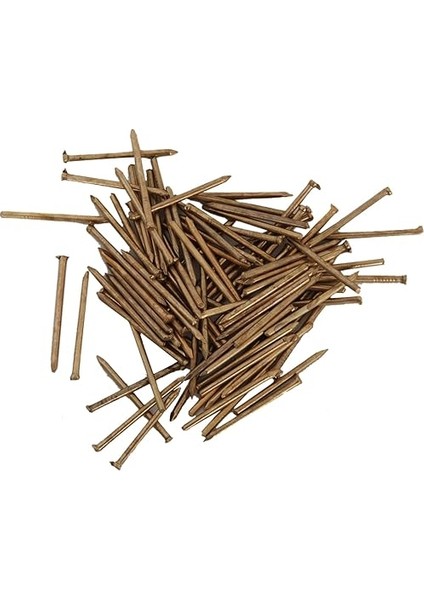 All Essential Fasteners 100 Adet 2X30MM Beton/parke/duvar Çivisi