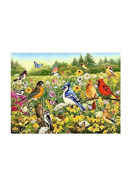 500 Parçalı Puzzle Kuşlar fiyatları