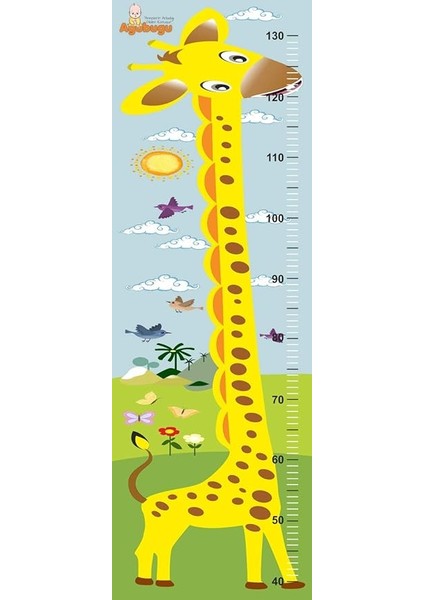 Baby AGU-111 Boy Ölçer Cetvel (Çok Renkli)